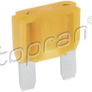 Fusible, Boite de 20