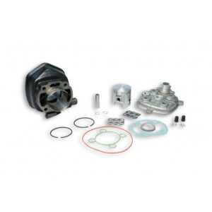 CYLINDRE MALOSSI FONTE Ø47 AXE Ø10 - MBK 50 NITRO / YAMAHA AEROX - MINARELLI HORIZONTAL -318284-