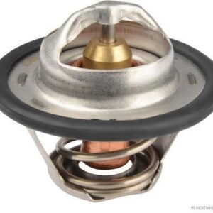 Thermostat d'eau
