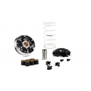 Variateur Malossi - Honda 110 Vision nsc 4T (19x15,5) (5119670) Multivar