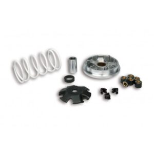 Variateur Malossi - Peugeot 50 Tkr, Trekker, Ludix, Speedfight, Zenith, Buxy (518752)